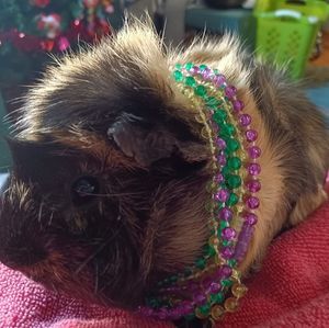 Meet your Posher, Scott